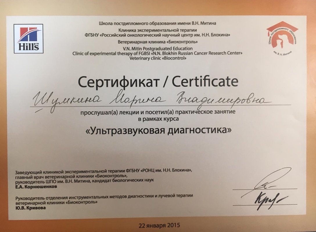 Документ или сертификат