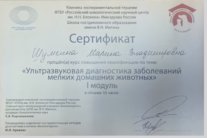 Документ или сертификат