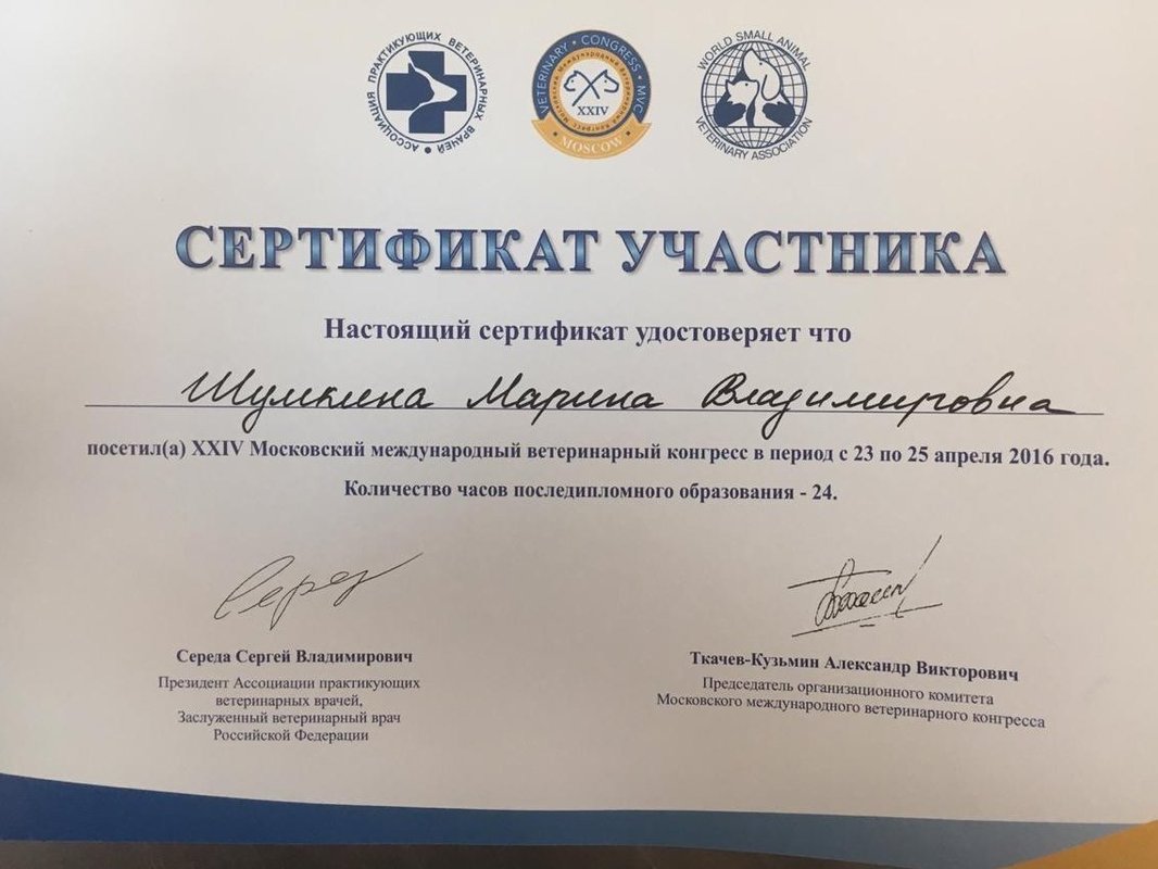 Документ или сертификат