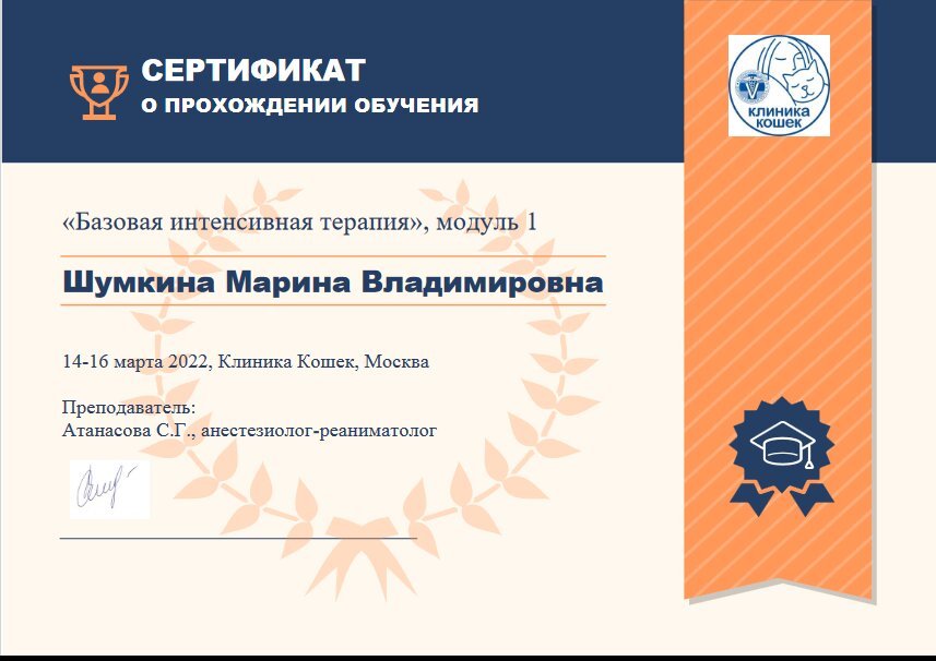 Документ или сертификат