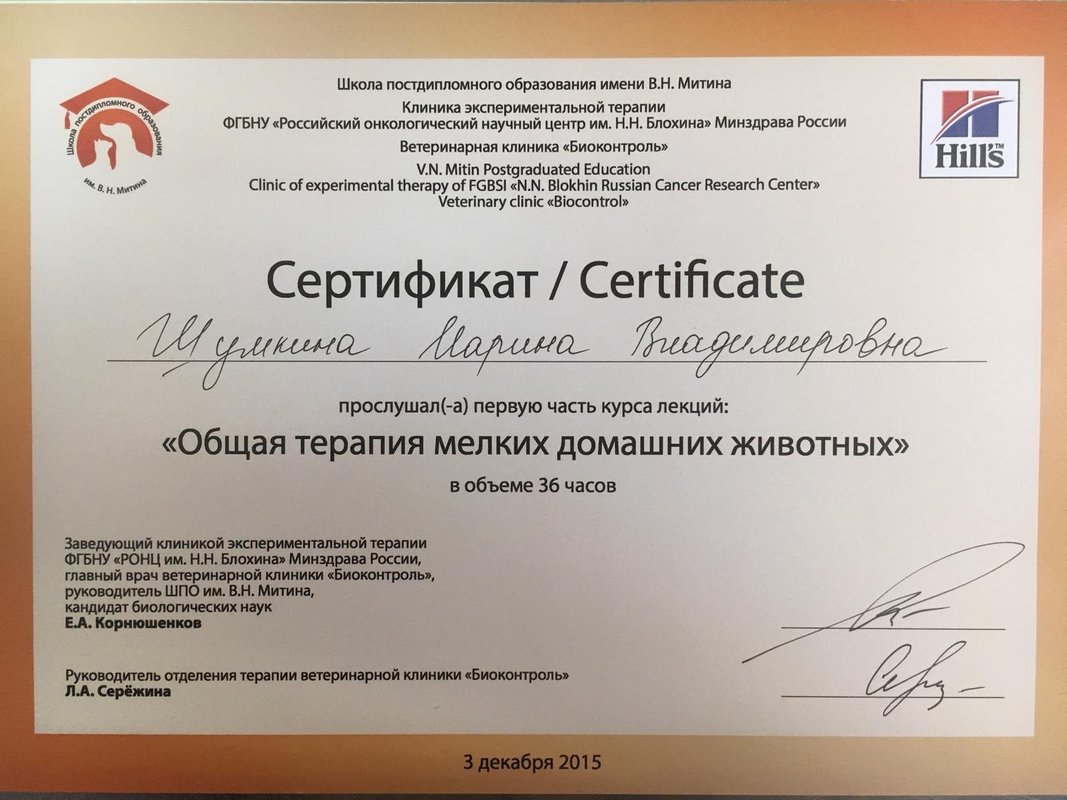 Документ или сертификат