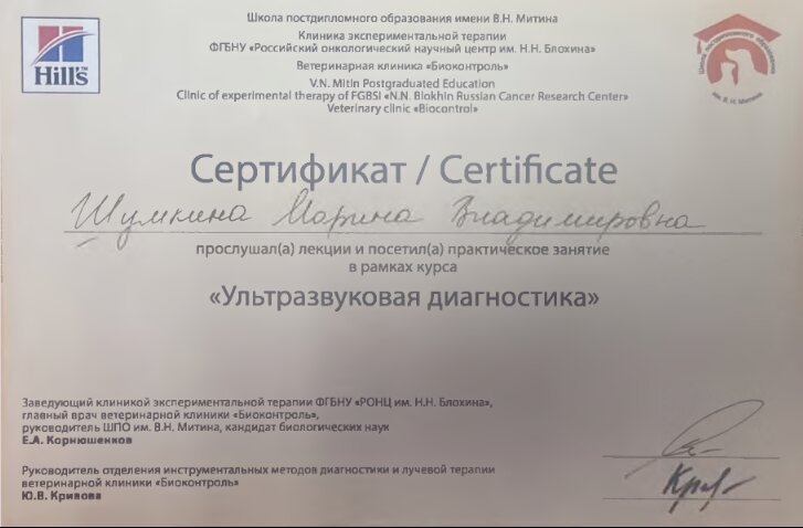 Документ или сертификат
