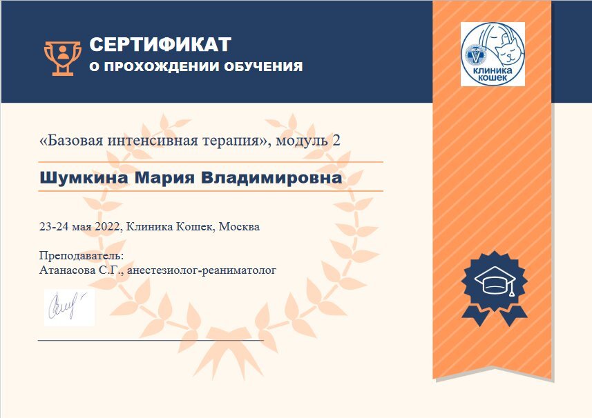 Документ или сертификат