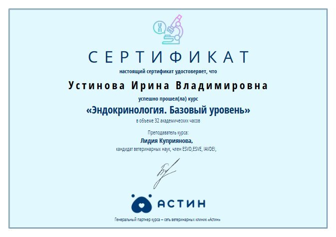 Документ или сертификат