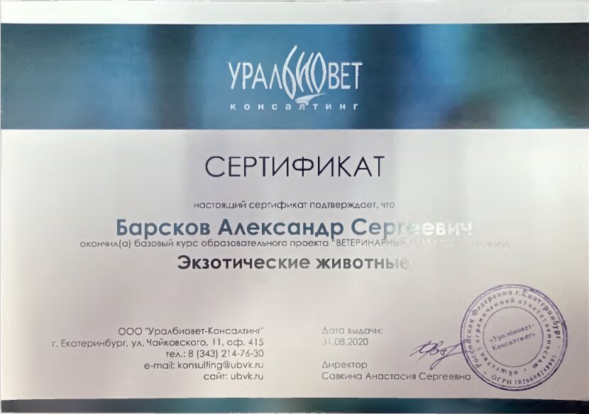 Документ или сертификат