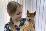 Фото врача Соломина Дарья Игоревна