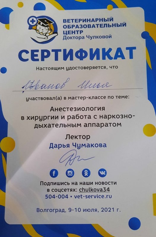 Документ или сертификат