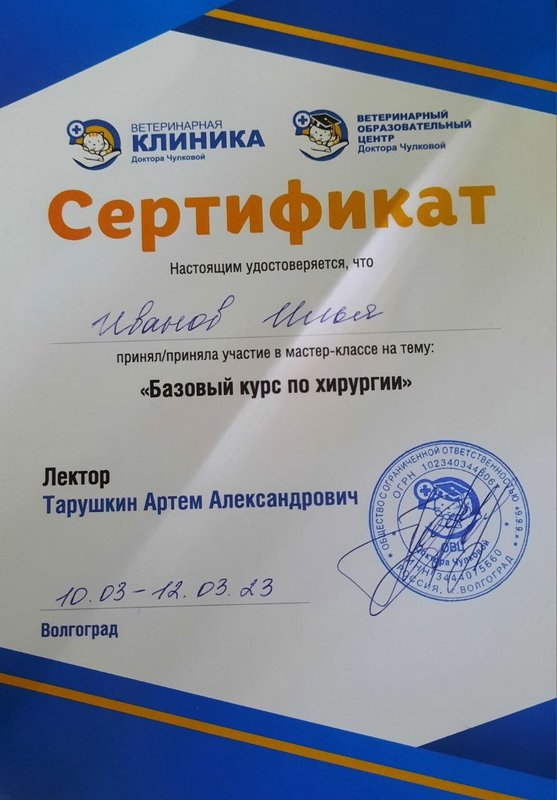 Документ или сертификат