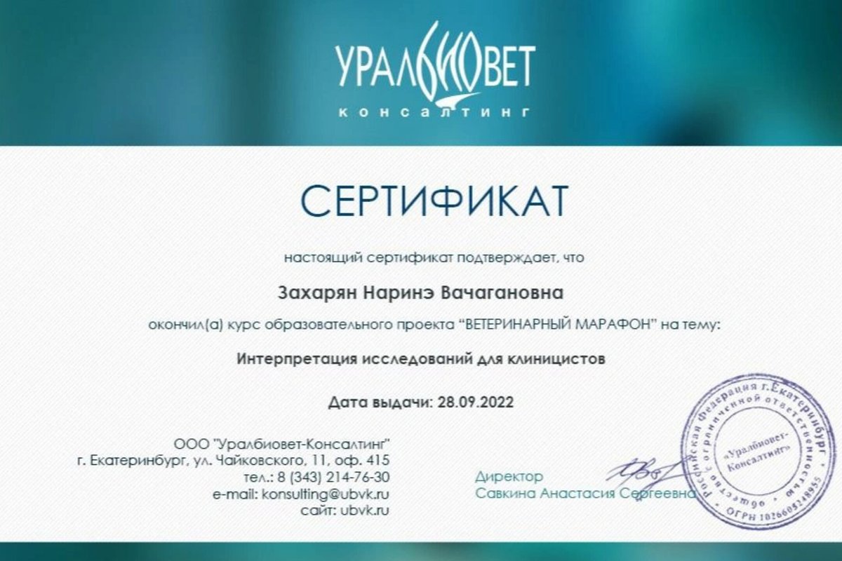 Документ или сертификат