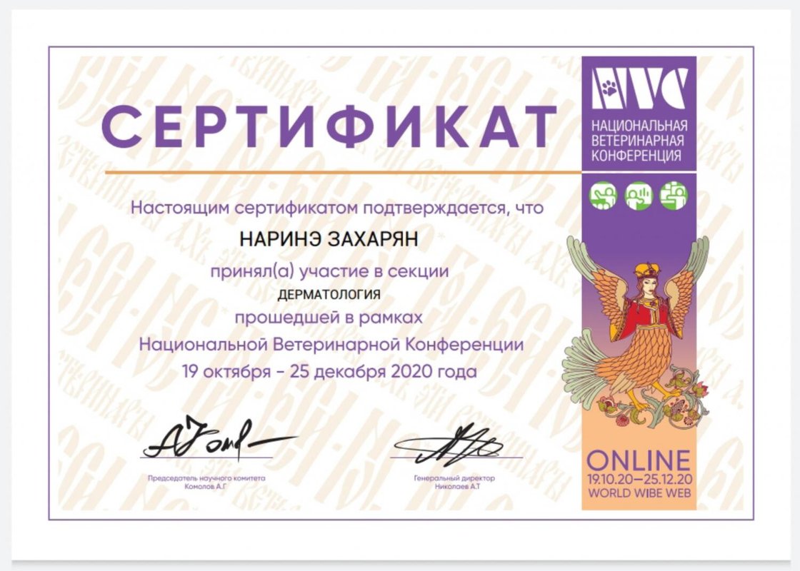 Документ или сертификат