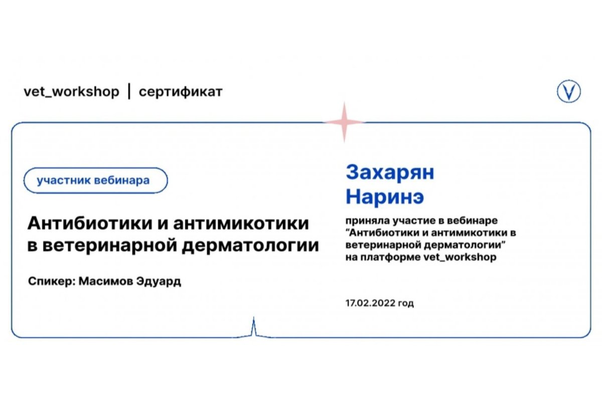 Документ или сертификат