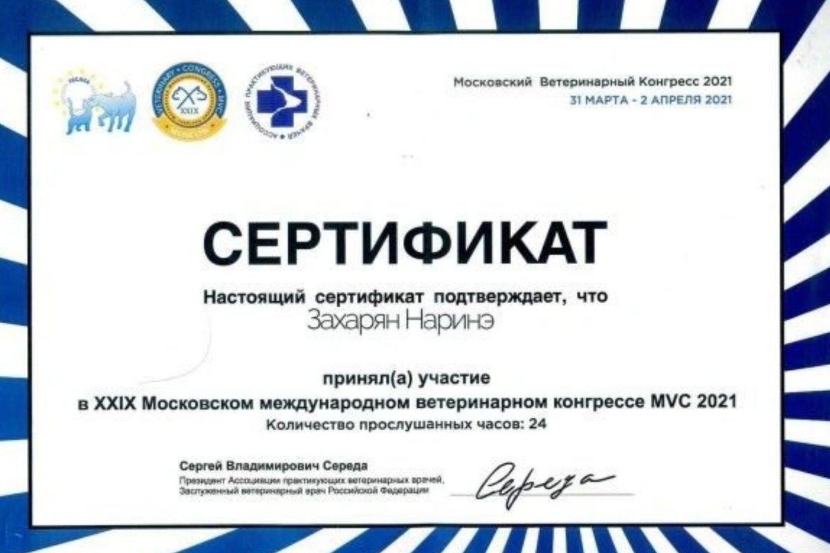 Документ или сертификат