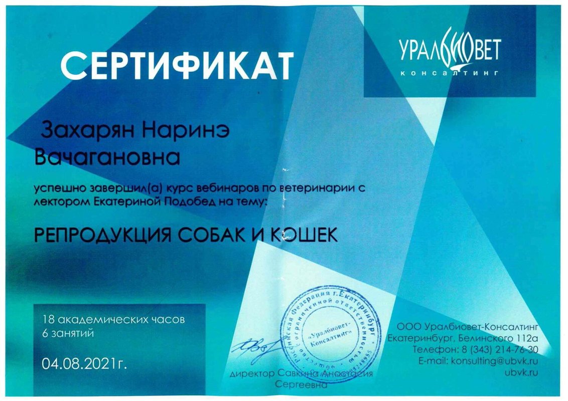 Документ или сертификат