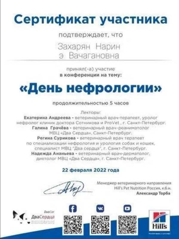 Документ или сертификат