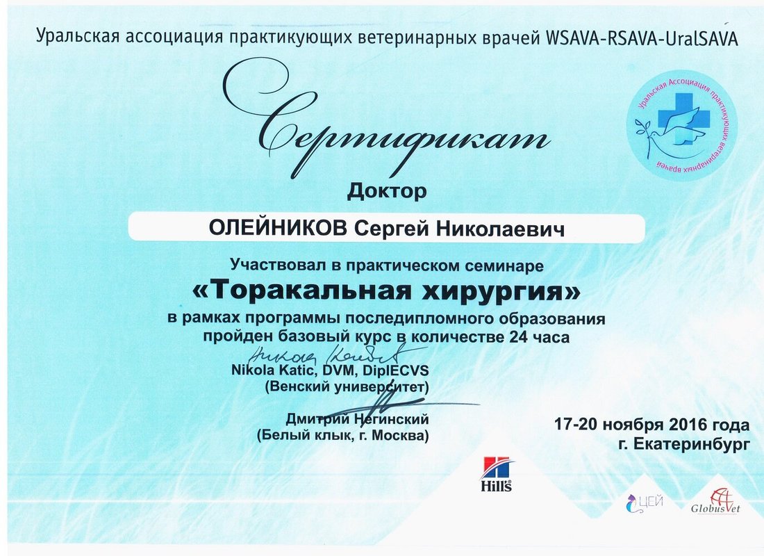 Документ или сертификат