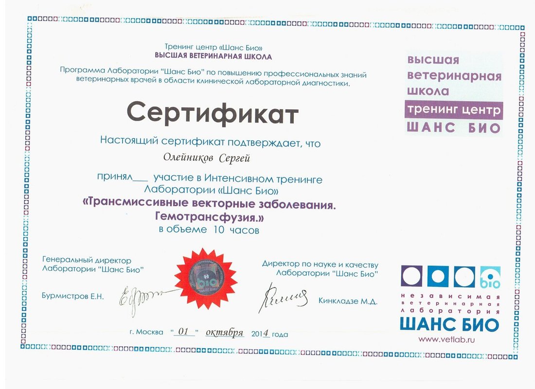 Документ или сертификат