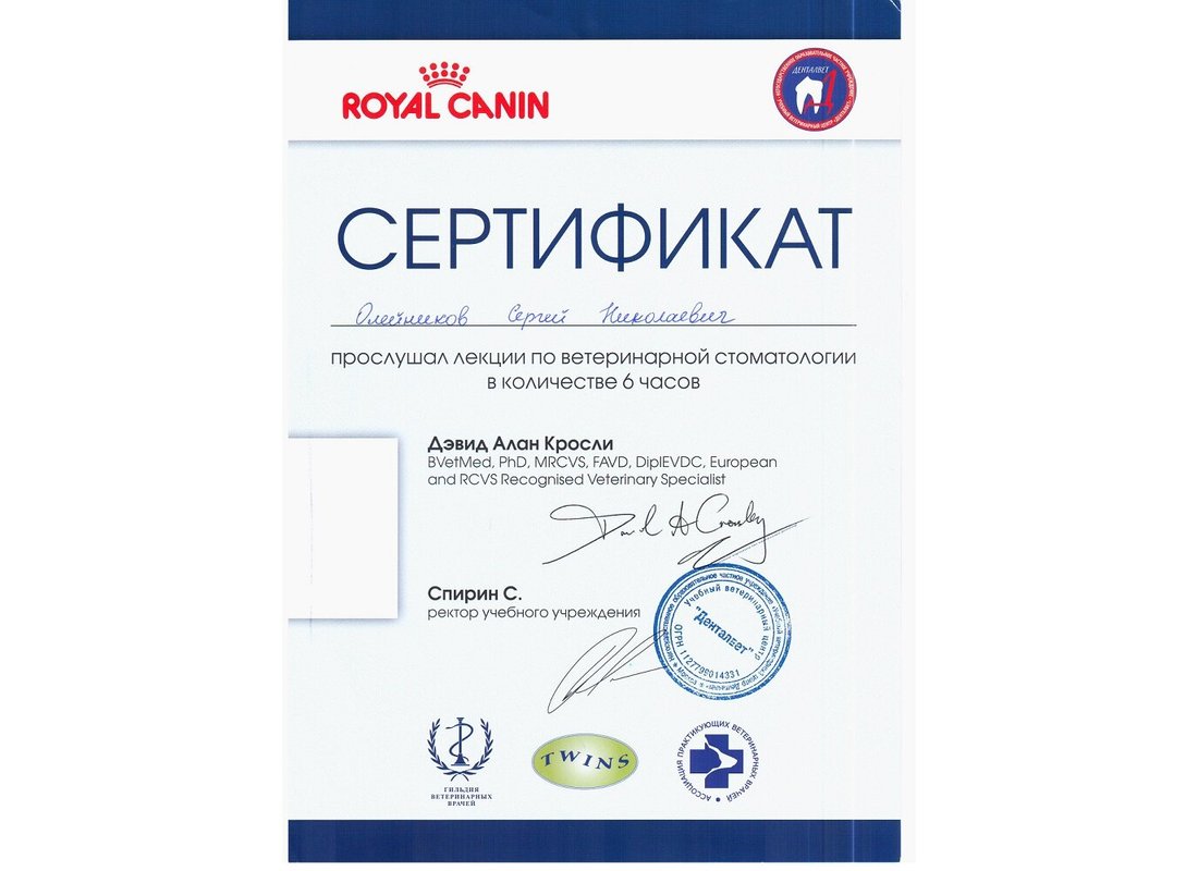 Документ или сертификат