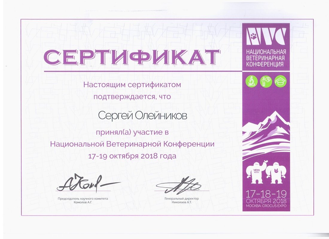 Документ или сертификат