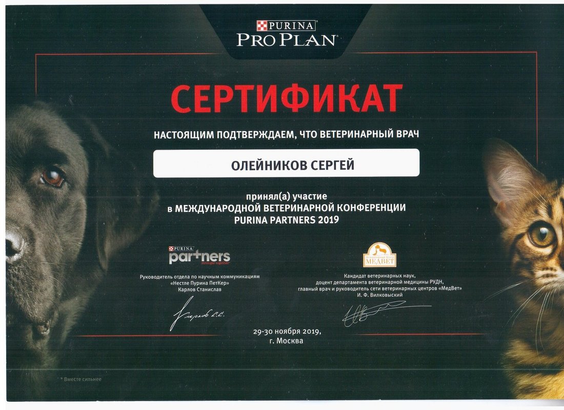 Документ или сертификат
