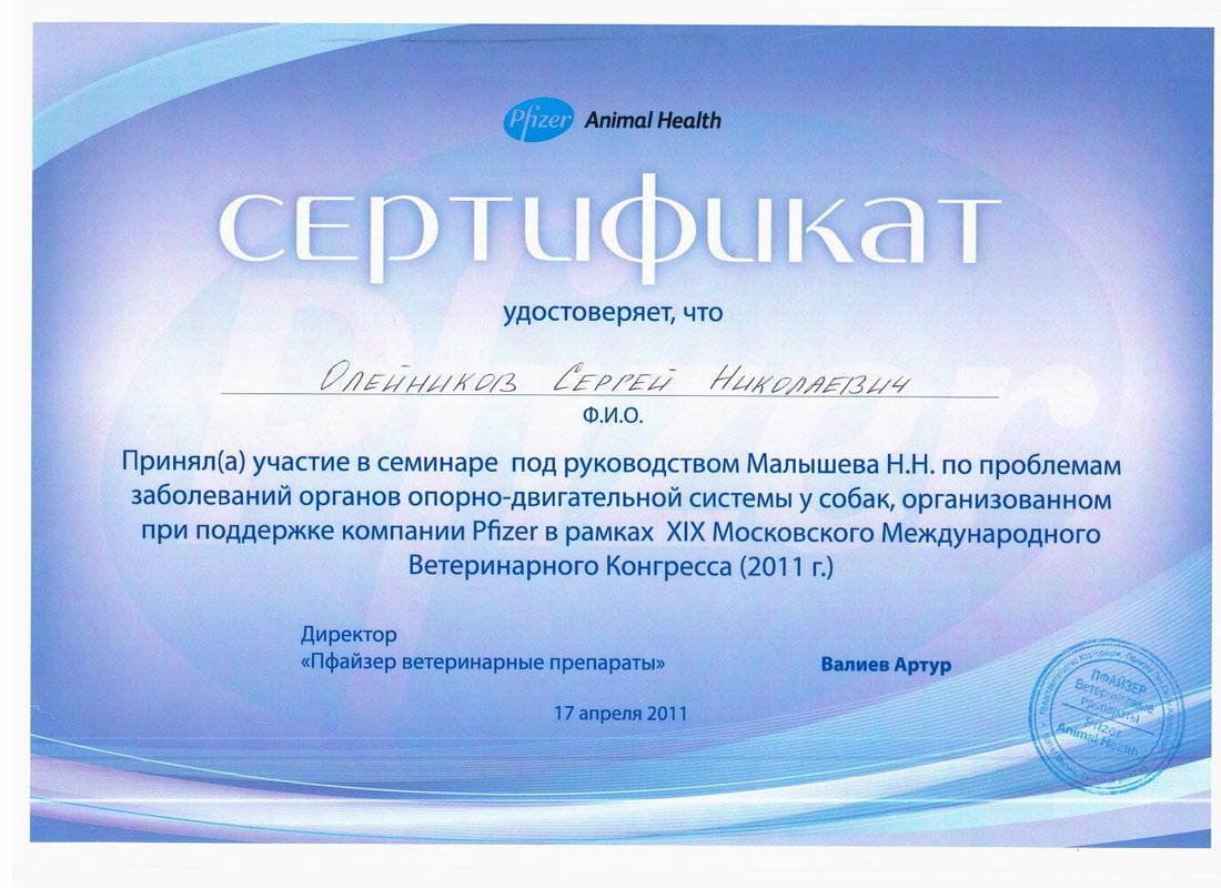 Документ или сертификат