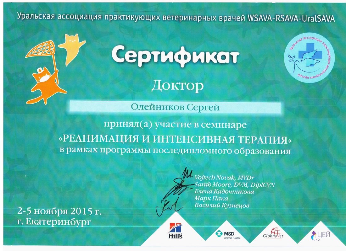 Документ или сертификат
