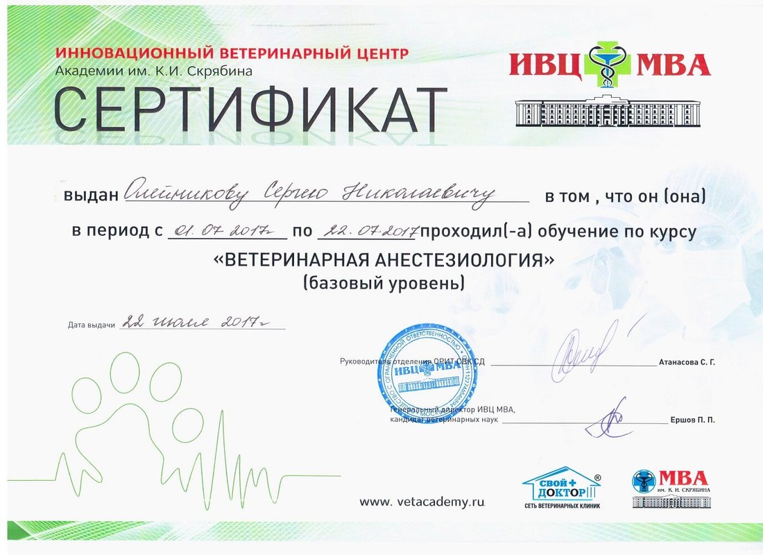 Документ или сертификат