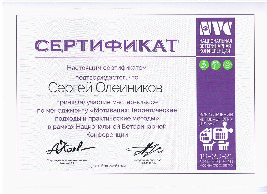 Документ или сертификат
