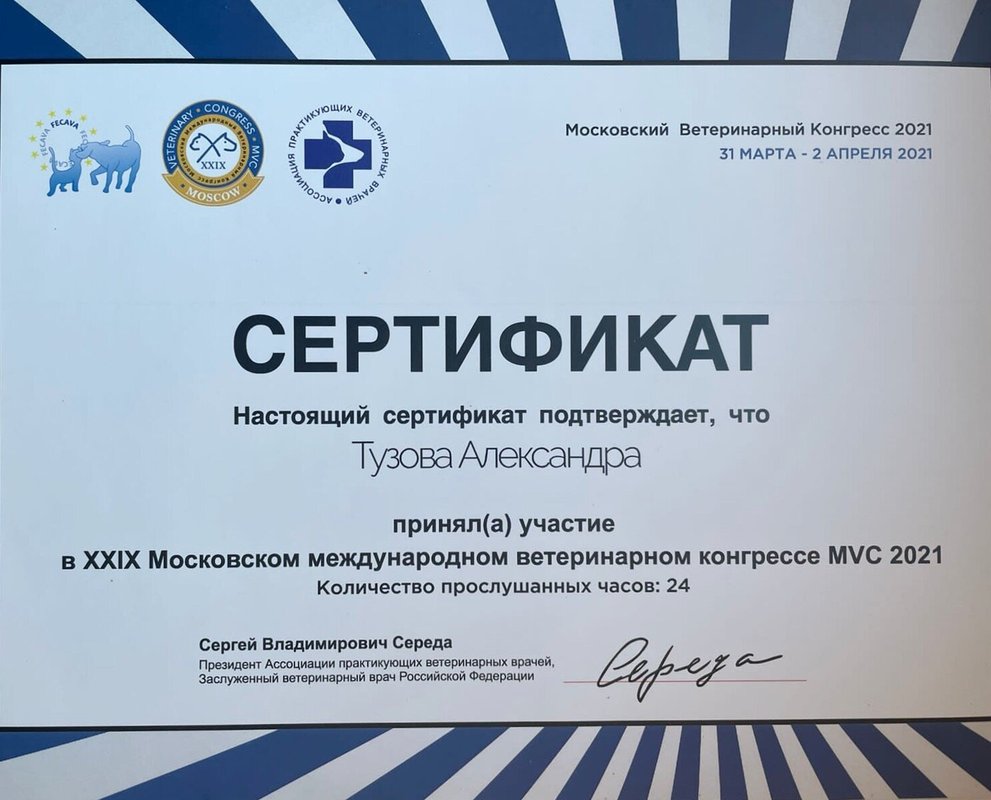 Документ или сертификат