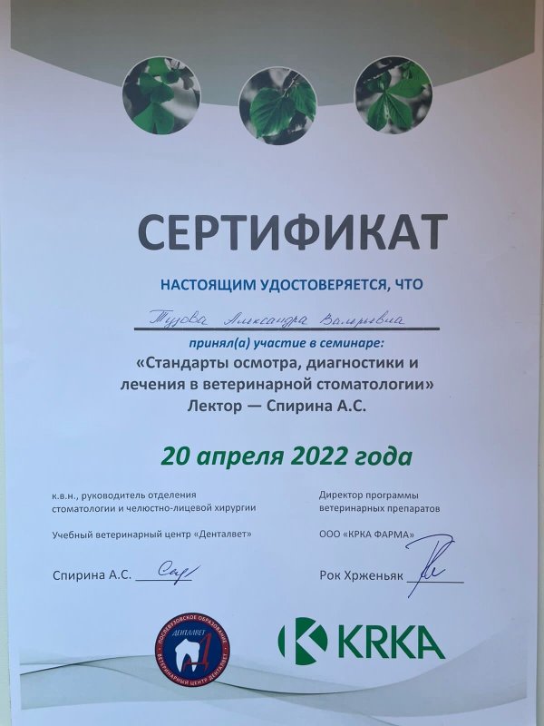 Документ или сертификат