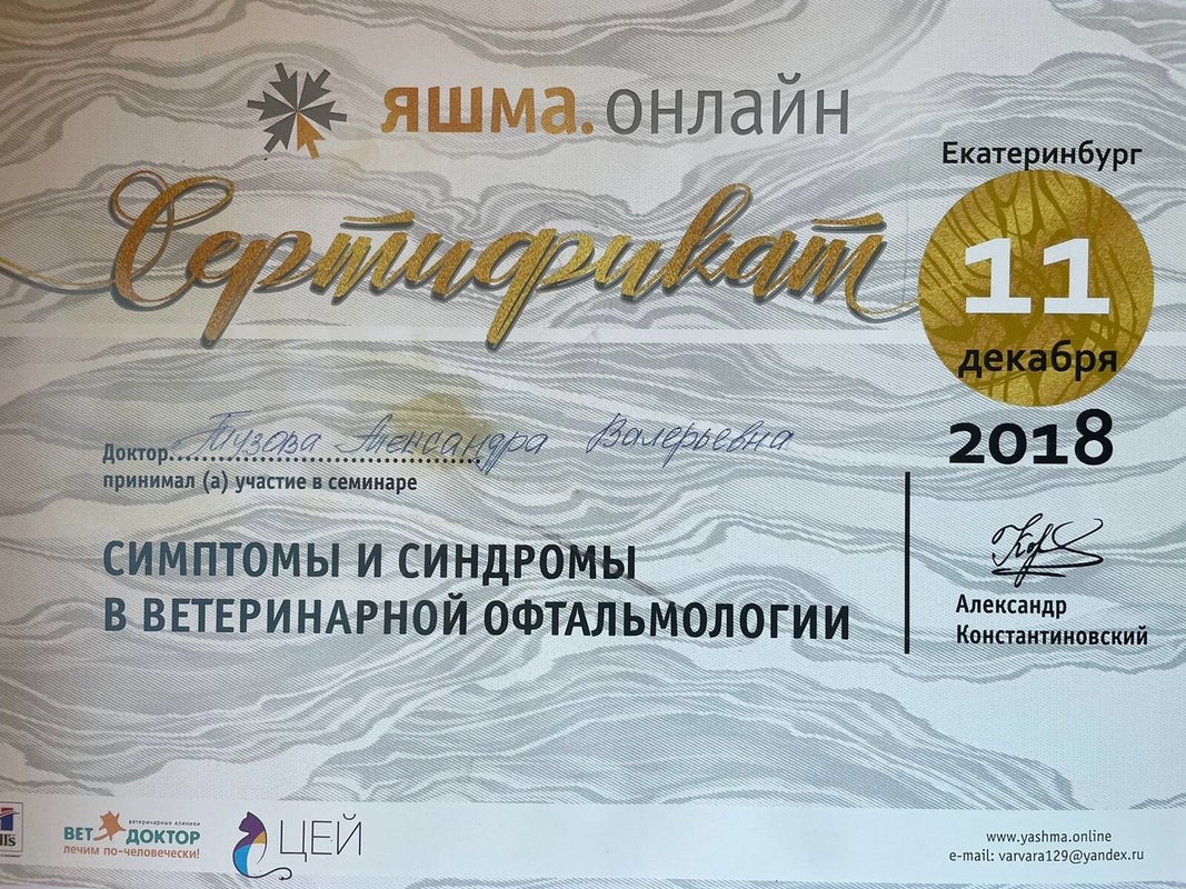 Документ или сертификат