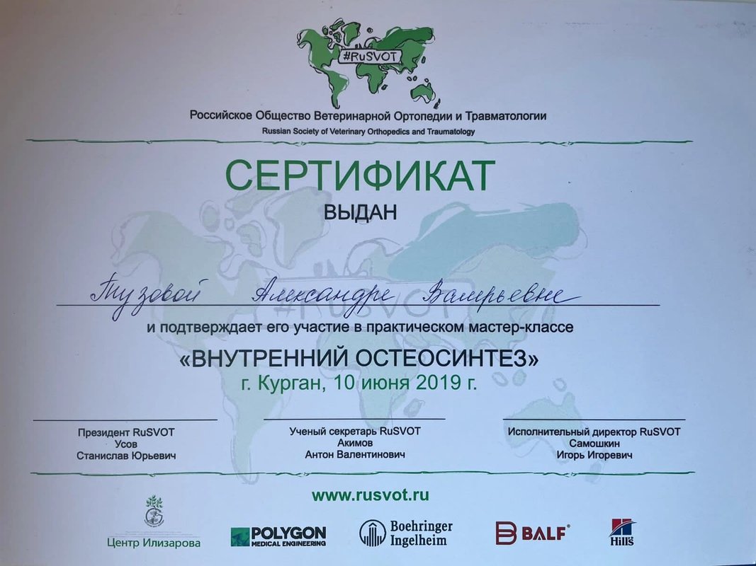 Документ или сертификат