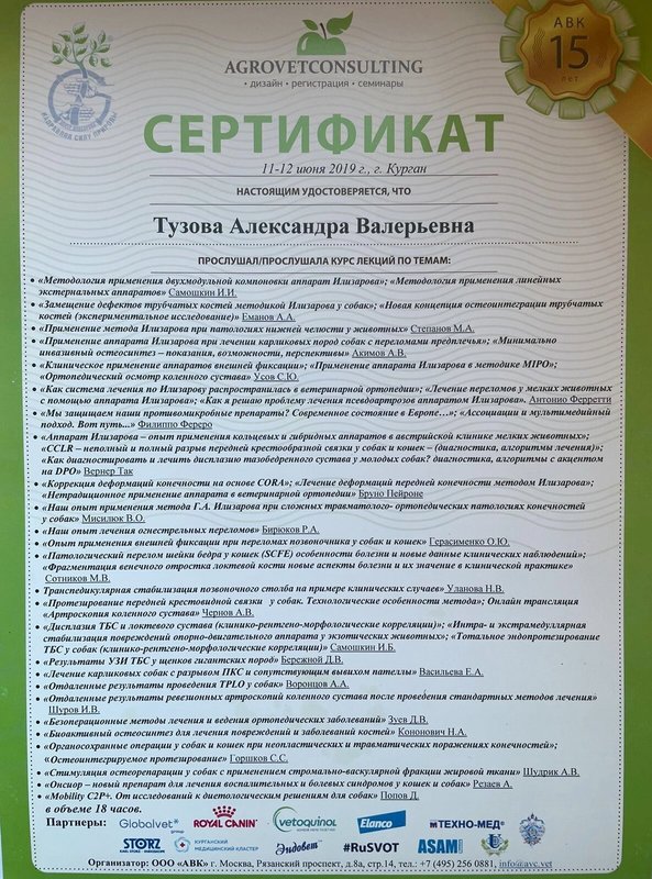 Документ или сертификат