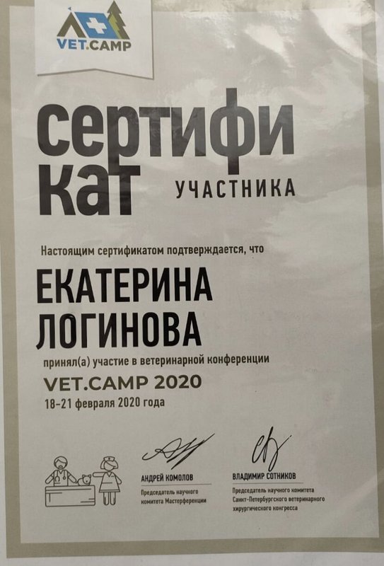 Документ или сертификат