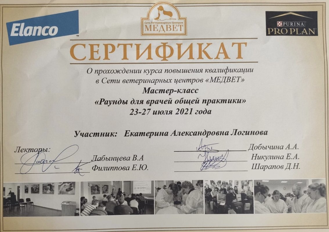 Документ или сертификат