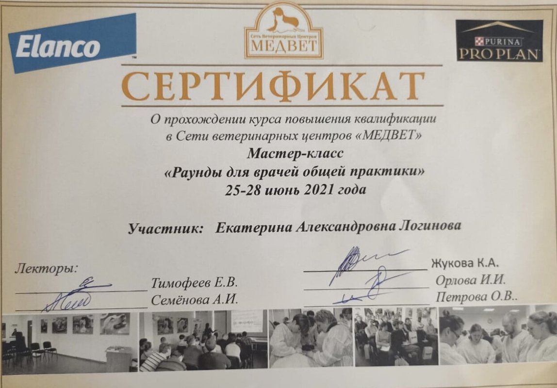 Документ или сертификат