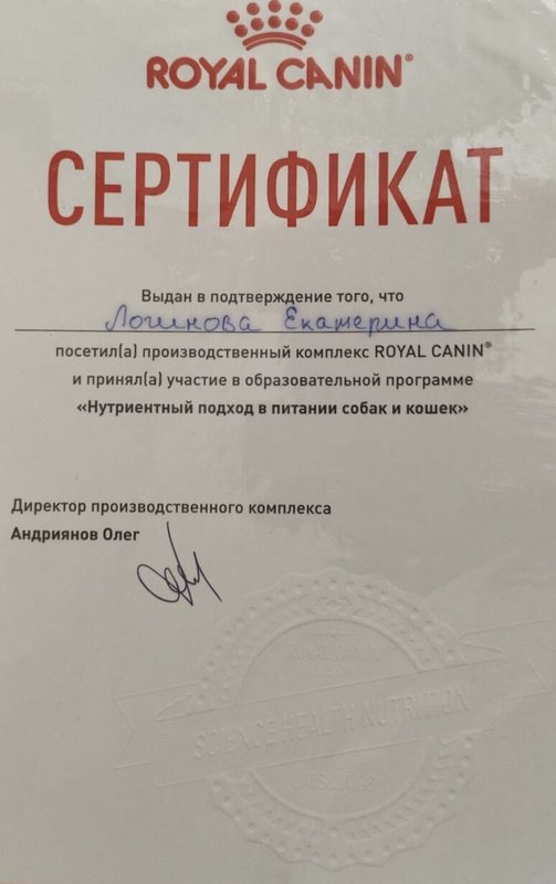 Документ или сертификат