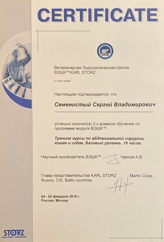 Документ или сертификат