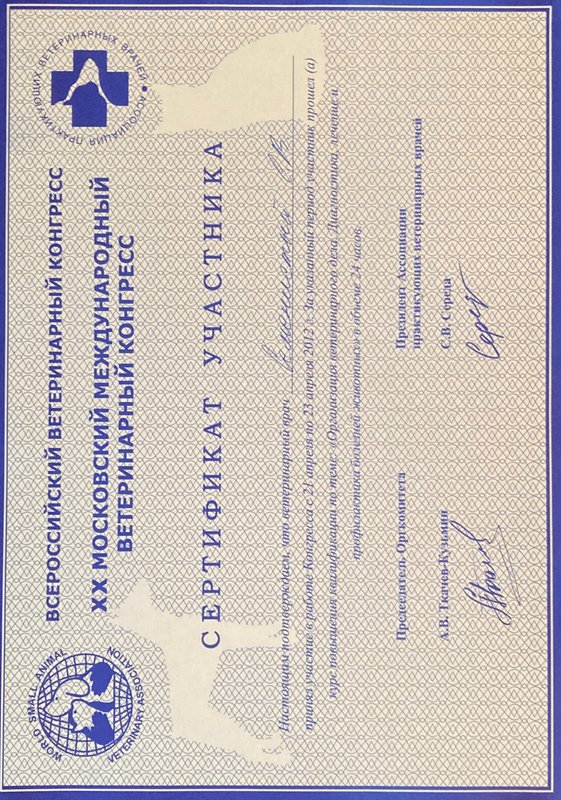 Документ или сертификат