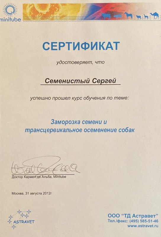 Документ или сертификат