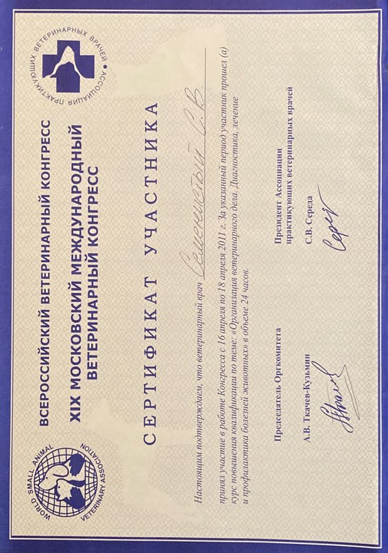 Документ или сертификат
