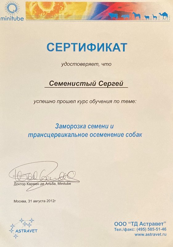Документ или сертификат
