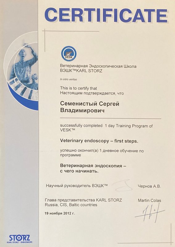 Документ или сертификат