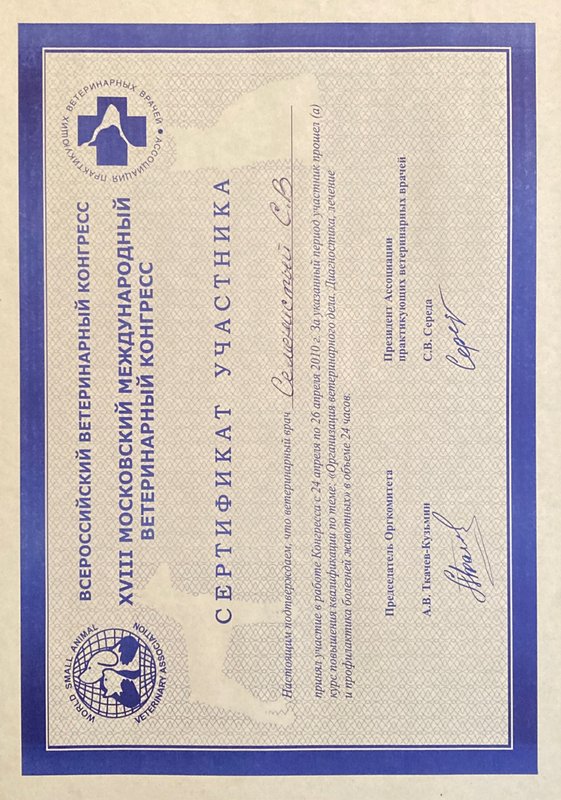 Документ или сертификат