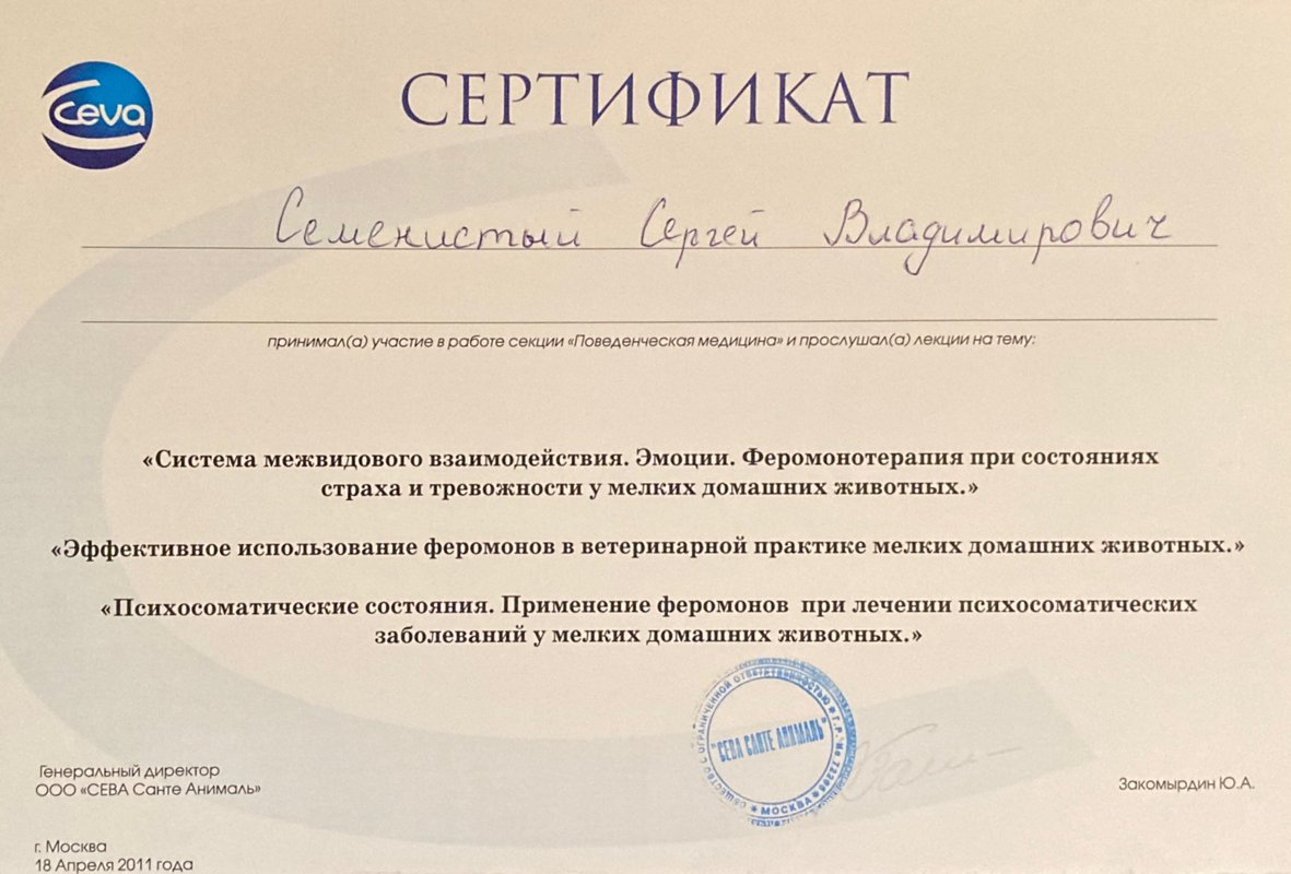 Документ или сертификат