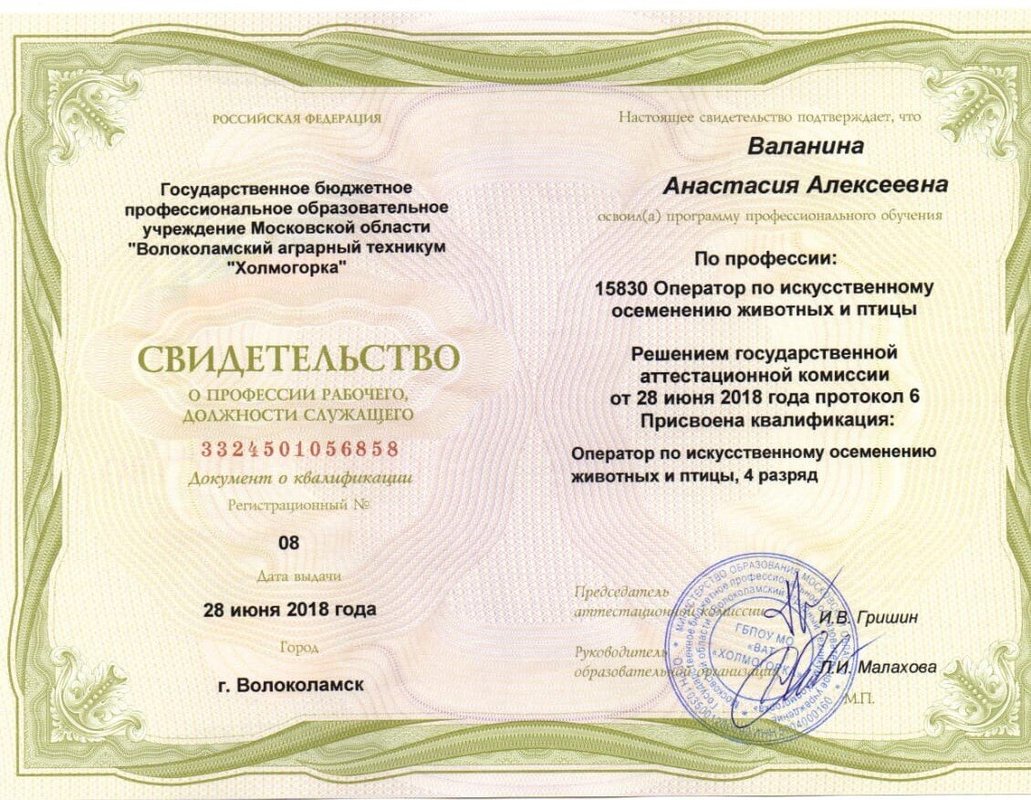 Документ или сертификат