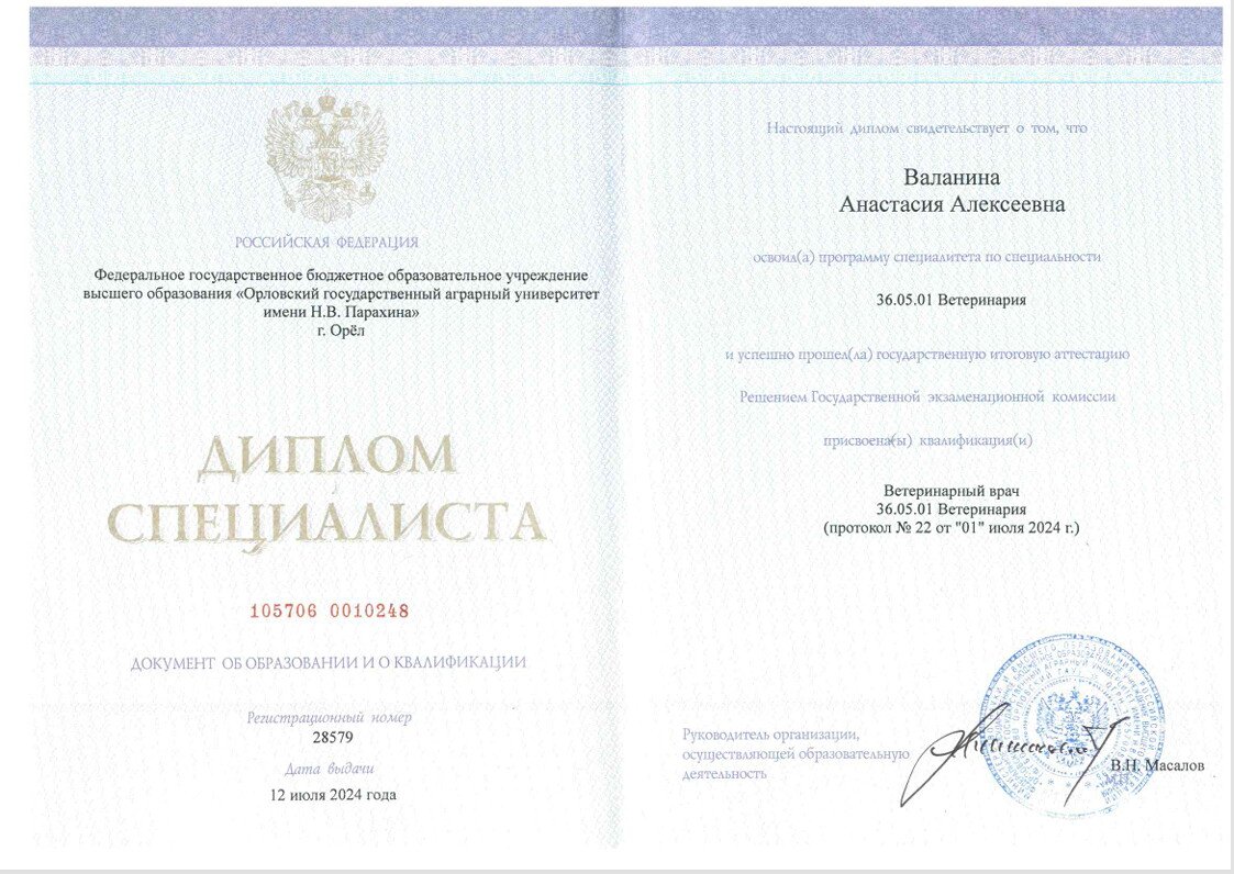 Документ или сертификат
