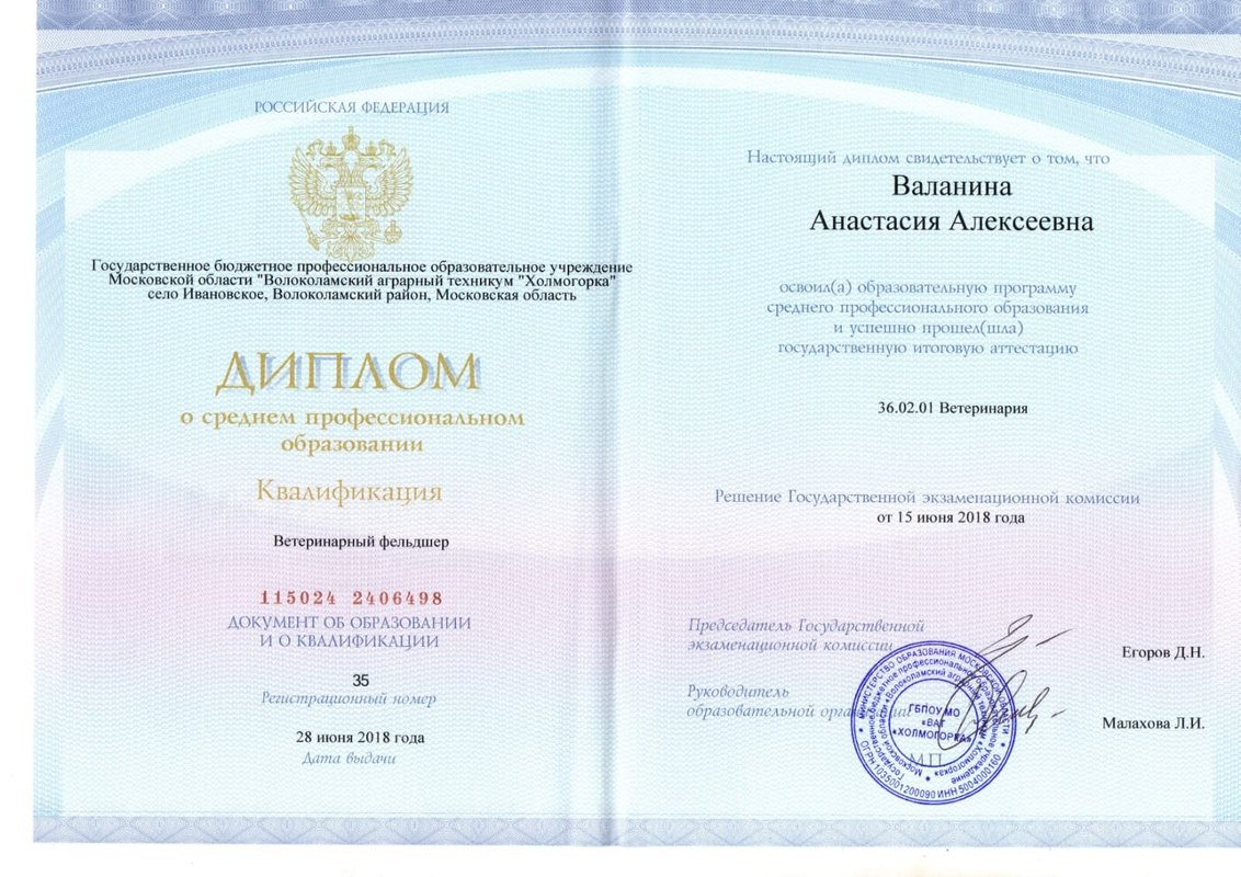 Документ или сертификат