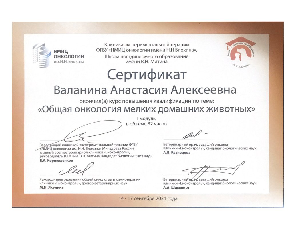 Документ или сертификат
