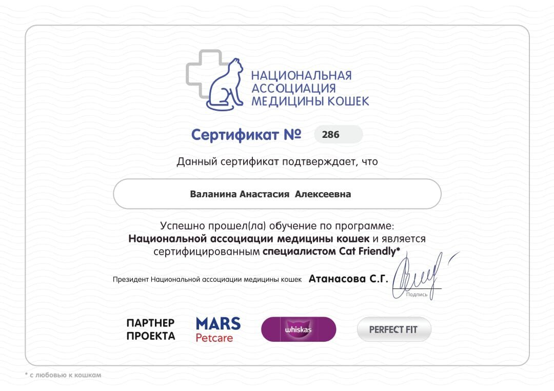 Документ или сертификат