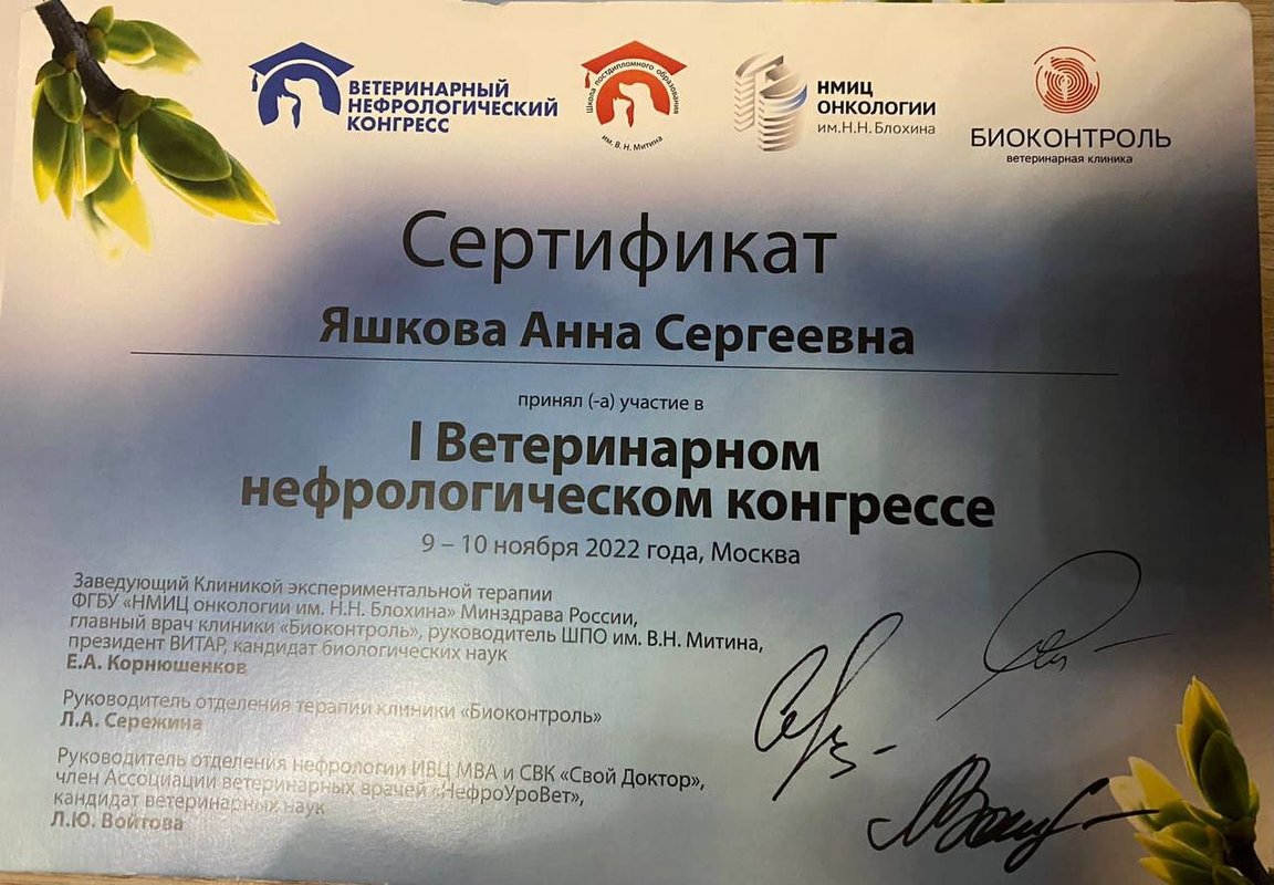 Документ или сертификат